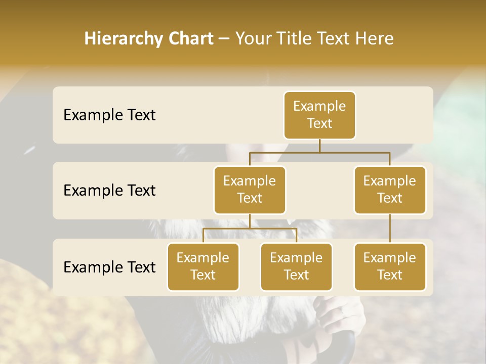 Hair Grass Sweater PowerPoint Template