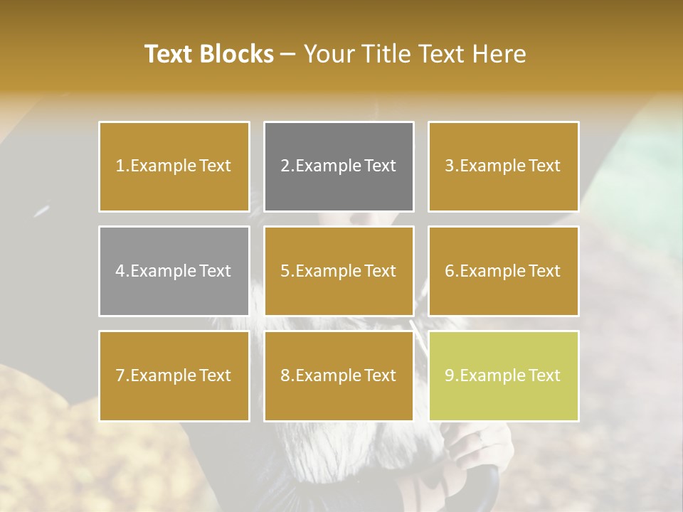 Hair Grass Sweater PowerPoint Template