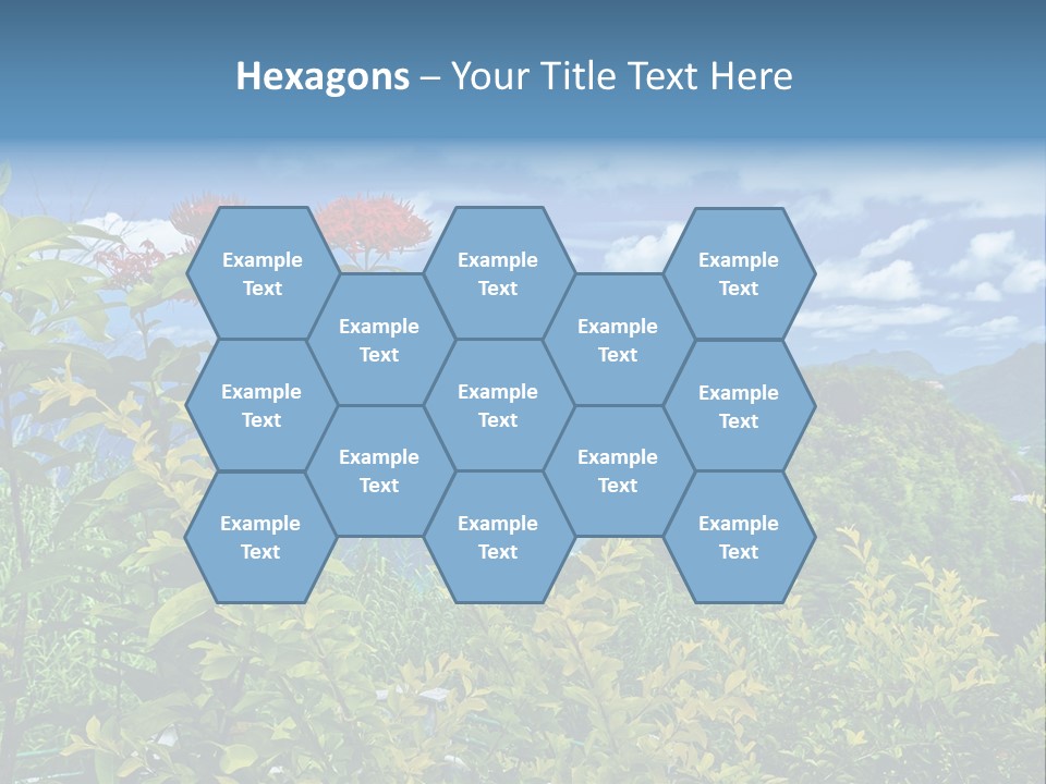 Sunny Coast Recreation PowerPoint Template