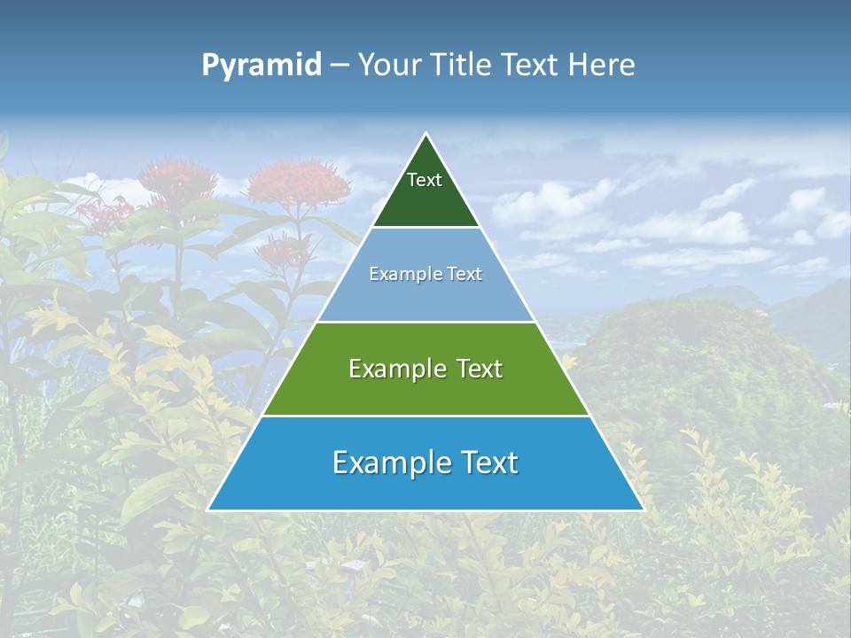 Sunny Coast Recreation PowerPoint Template
