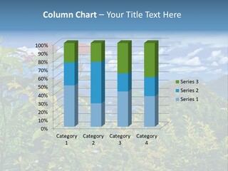 Sunny Coast Recreation PowerPoint Template