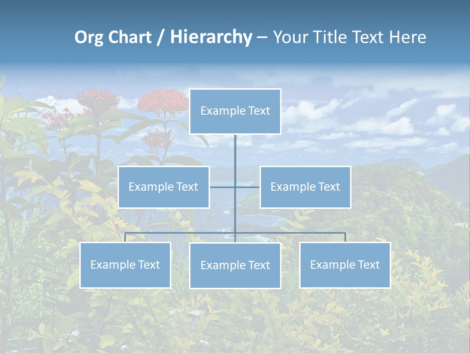 Sunny Coast Recreation PowerPoint Template