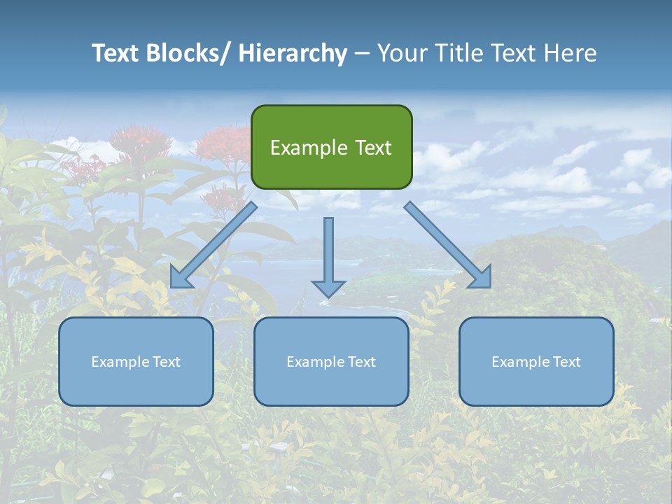 Sunny Coast Recreation PowerPoint Template