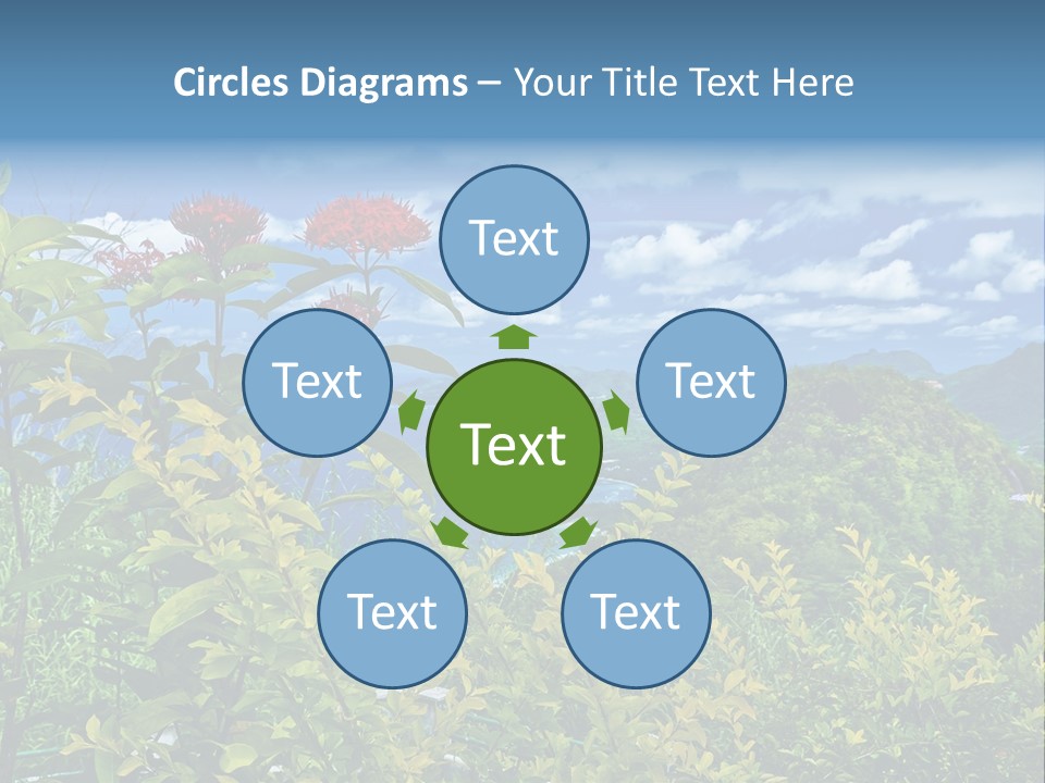 Sunny Coast Recreation PowerPoint Template