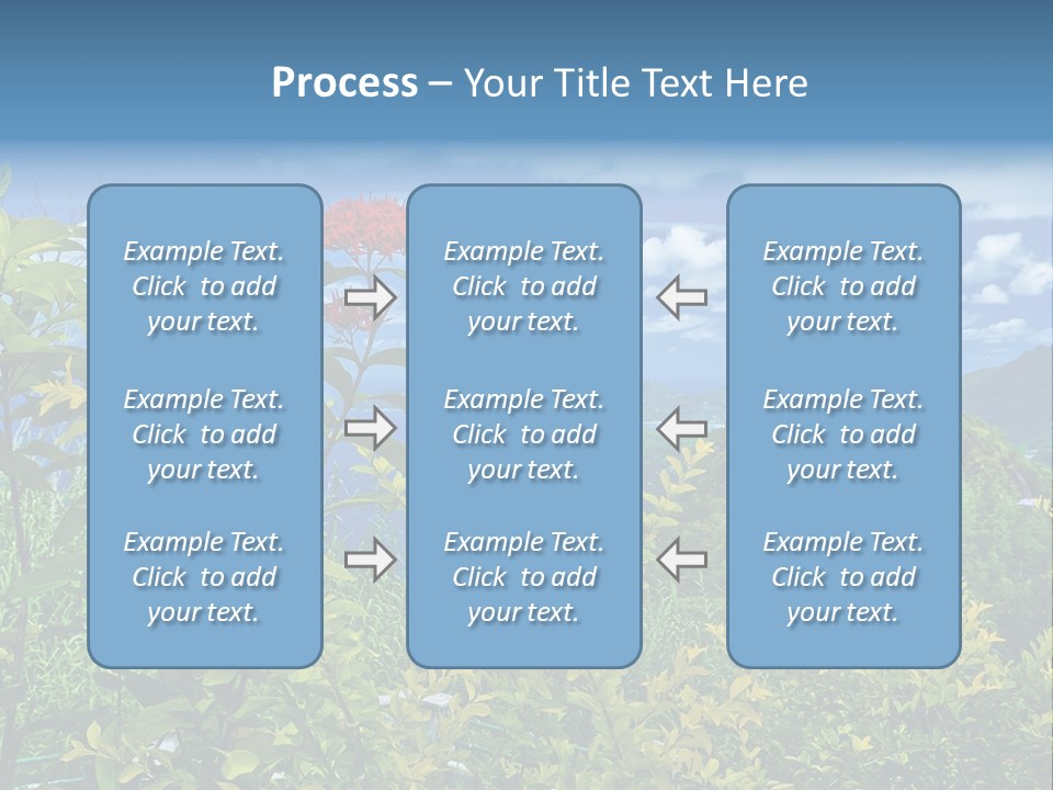 Sunny Coast Recreation PowerPoint Template