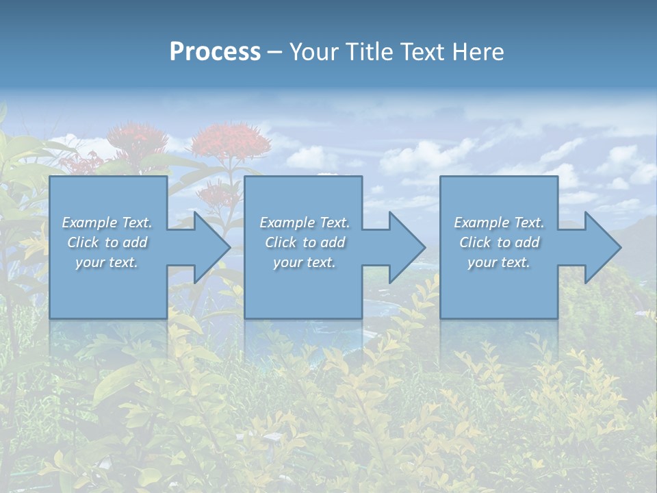 Sunny Coast Recreation PowerPoint Template