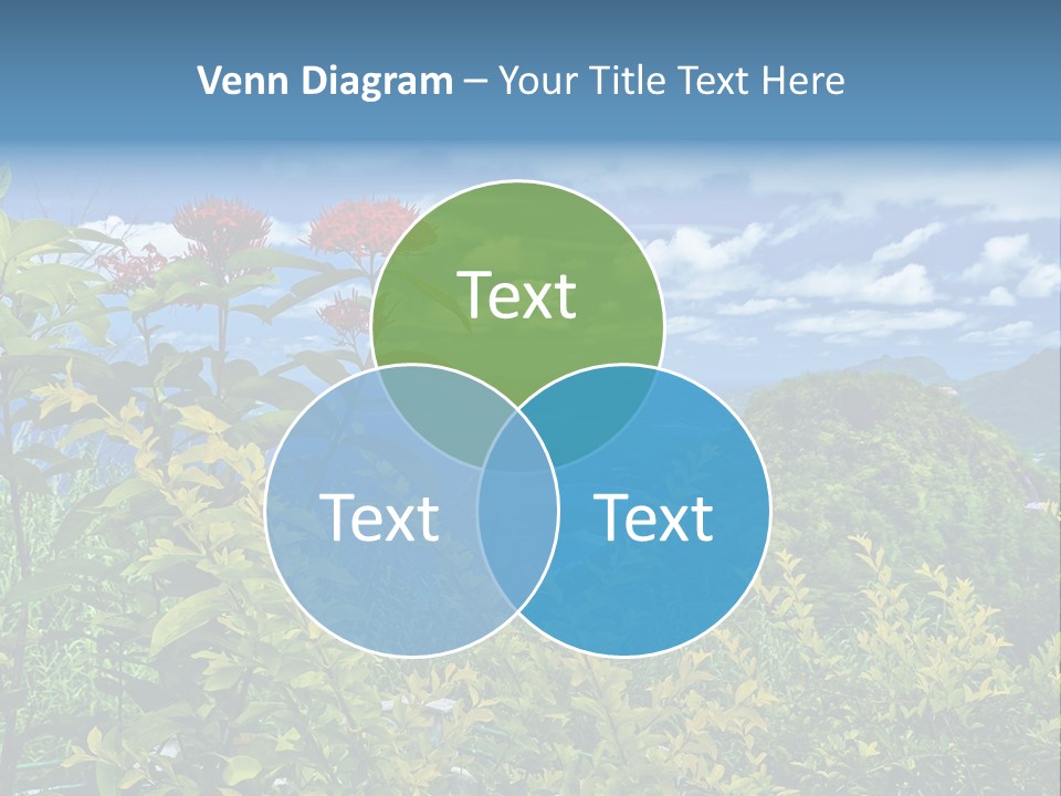 Sunny Coast Recreation PowerPoint Template