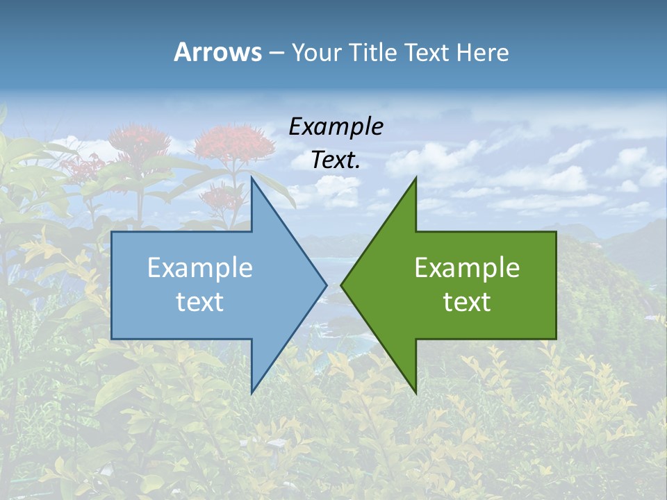 Sunny Coast Recreation PowerPoint Template