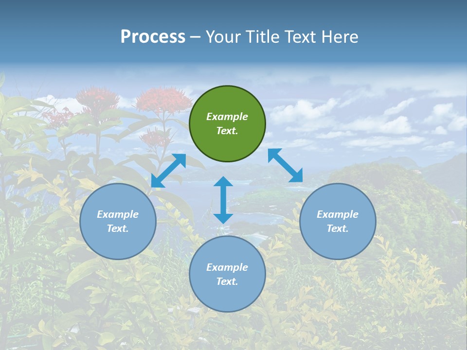 Sunny Coast Recreation PowerPoint Template