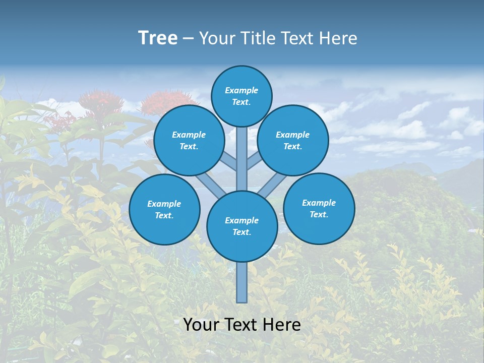 Sunny Coast Recreation PowerPoint Template