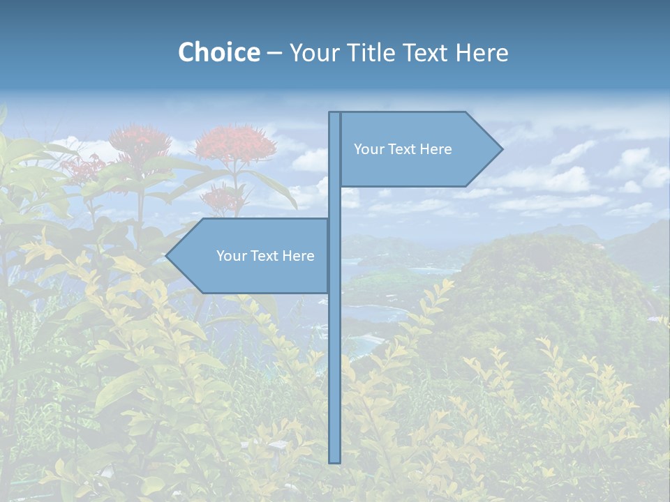 Sunny Coast Recreation PowerPoint Template