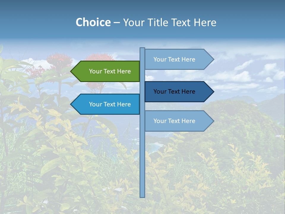 Sunny Coast Recreation PowerPoint Template
