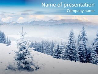 Frozen Snow Hoarfrost PowerPoint Template