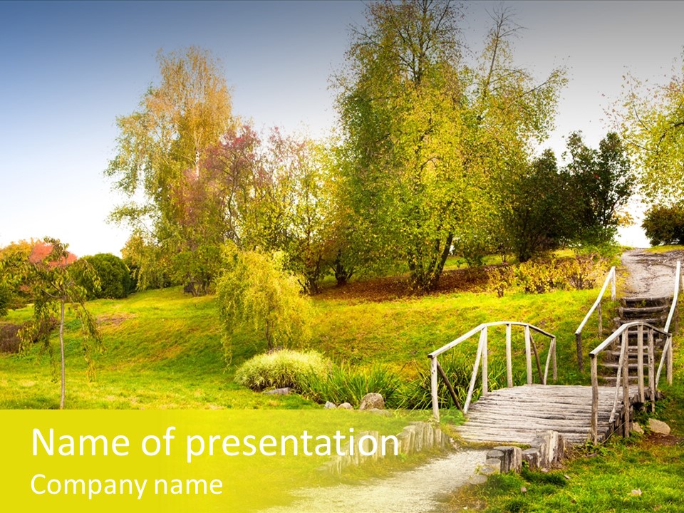 Environment Scene Forest PowerPoint Template