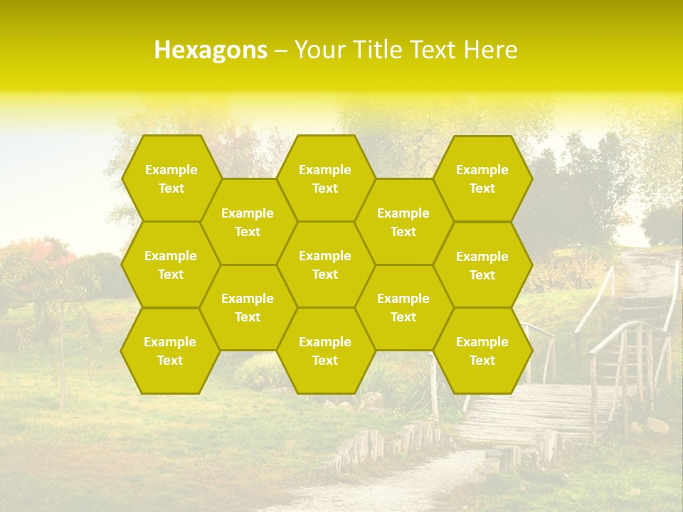 Environment Scene Forest PowerPoint Template