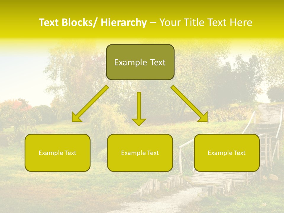 Environment Scene Forest PowerPoint Template