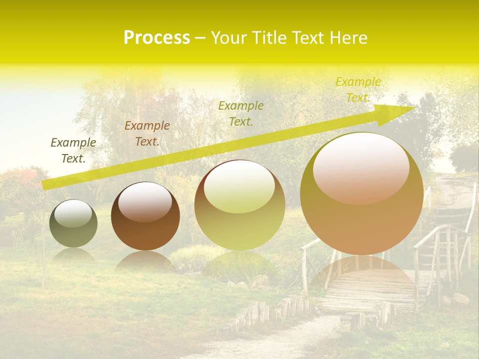Environment Scene Forest PowerPoint Template