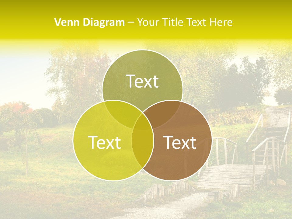 Environment Scene Forest PowerPoint Template