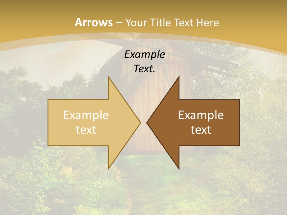 Traditional Environmental Ecology PowerPoint Template
