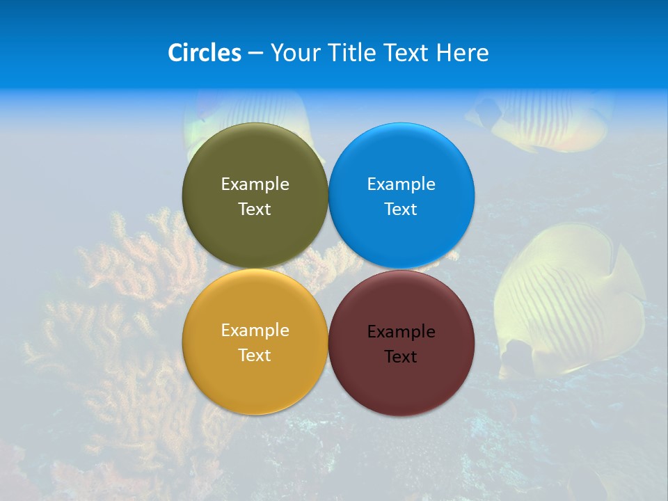 Underwater Behavior Image PowerPoint Template