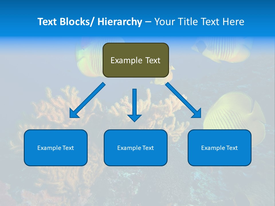 Underwater Behavior Image PowerPoint Template