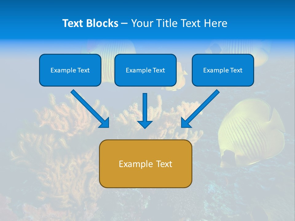 Underwater Behavior Image PowerPoint Template