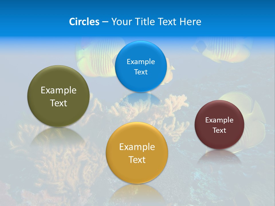 Underwater Behavior Image PowerPoint Template