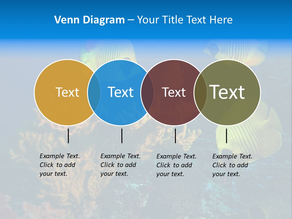 Underwater Behavior Image PowerPoint Template