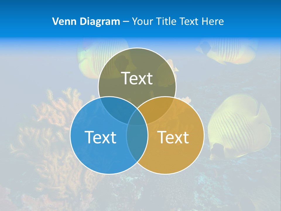 Underwater Behavior Image PowerPoint Template