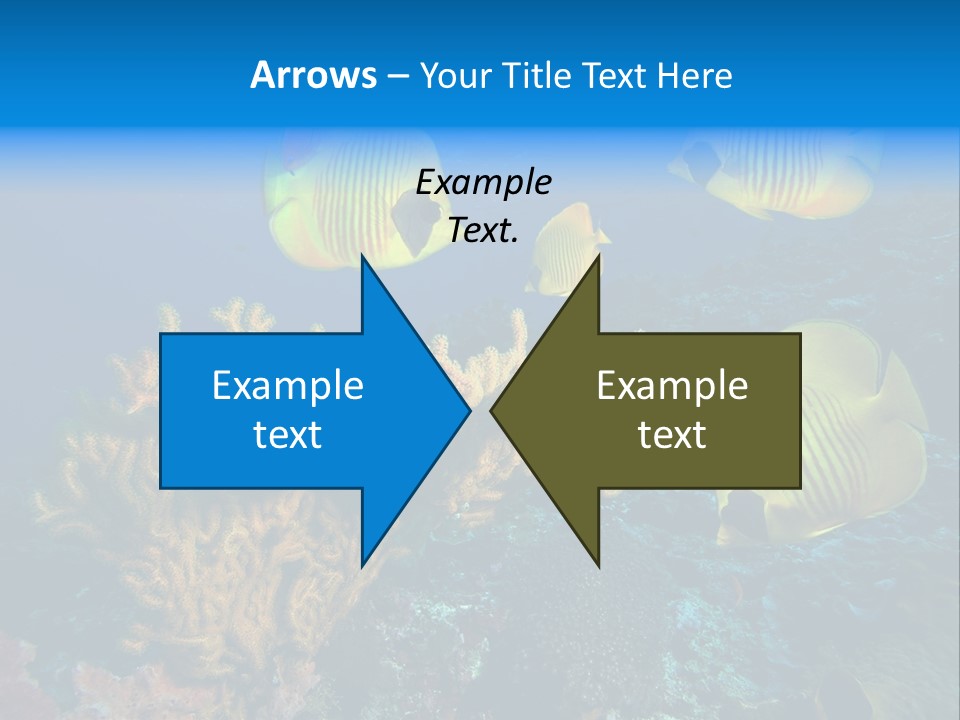 Underwater Behavior Image PowerPoint Template