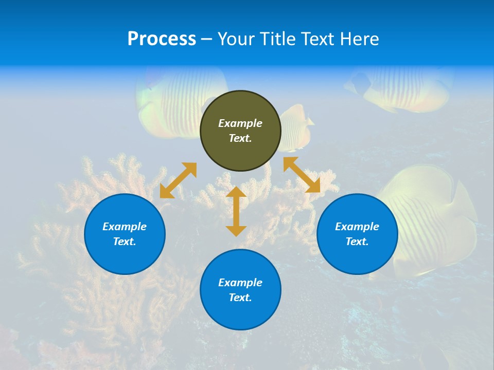 Underwater Behavior Image PowerPoint Template