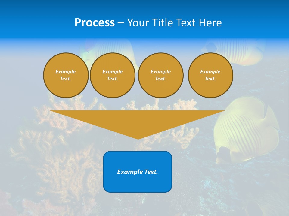 Underwater Behavior Image PowerPoint Template
