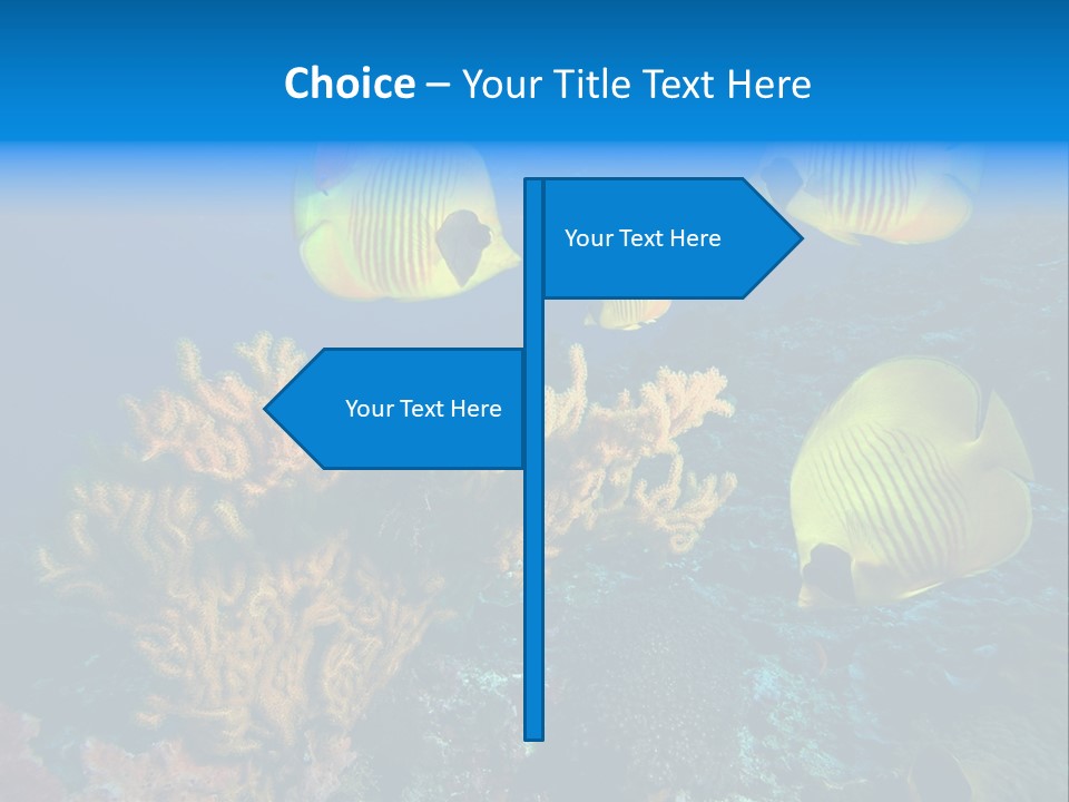 Underwater Behavior Image PowerPoint Template