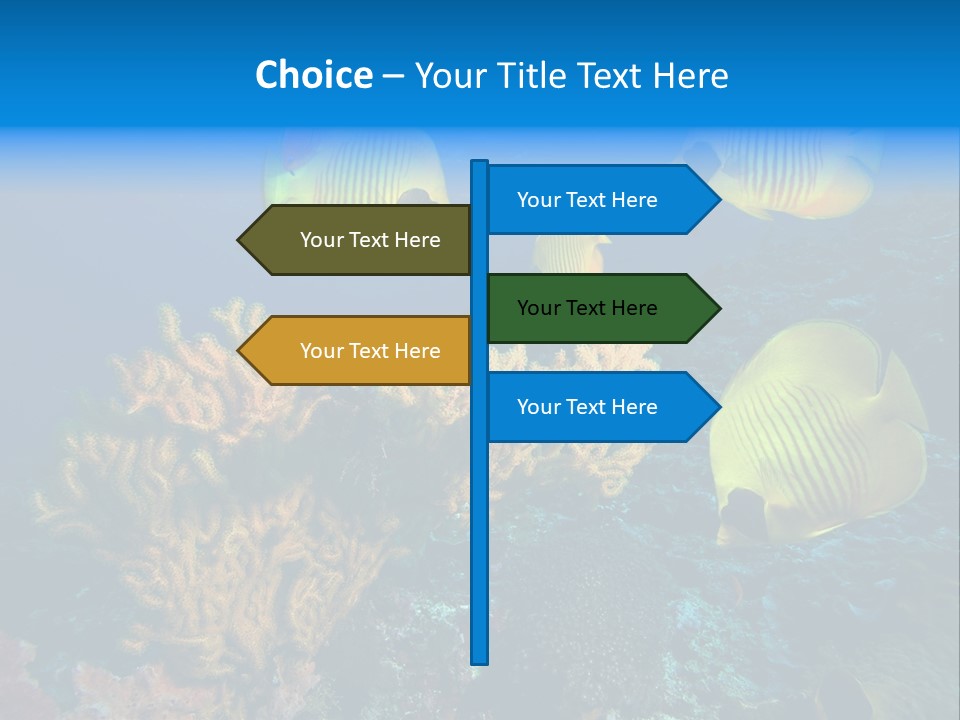 Underwater Behavior Image PowerPoint Template