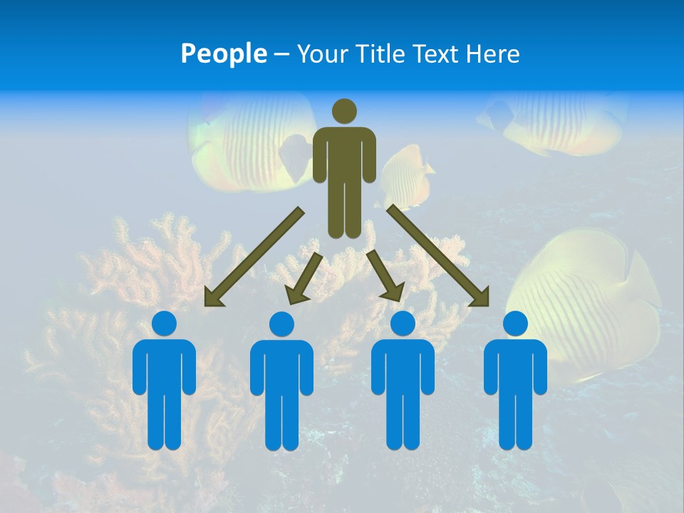 Underwater Behavior Image PowerPoint Template