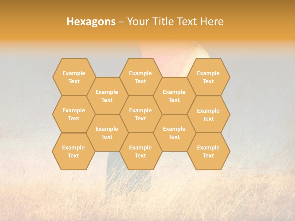 Adult Color Autumn PowerPoint Template