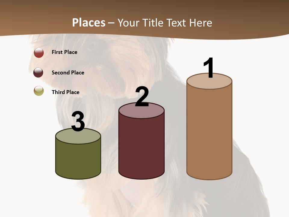Brown Looking Dog PowerPoint Template
