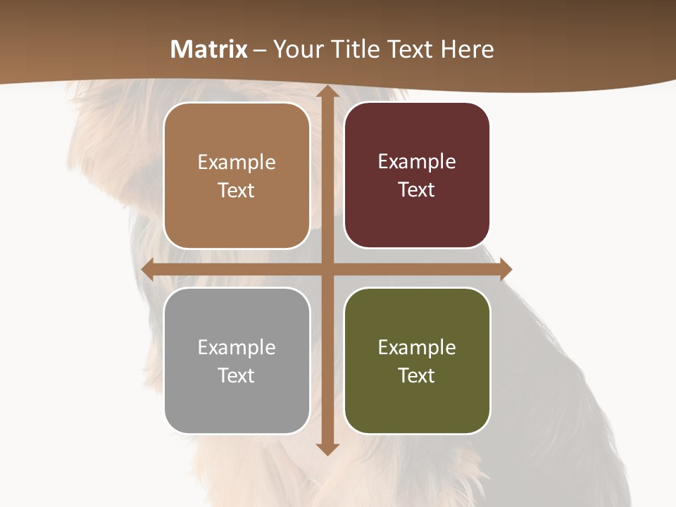 Brown Looking Dog PowerPoint Template