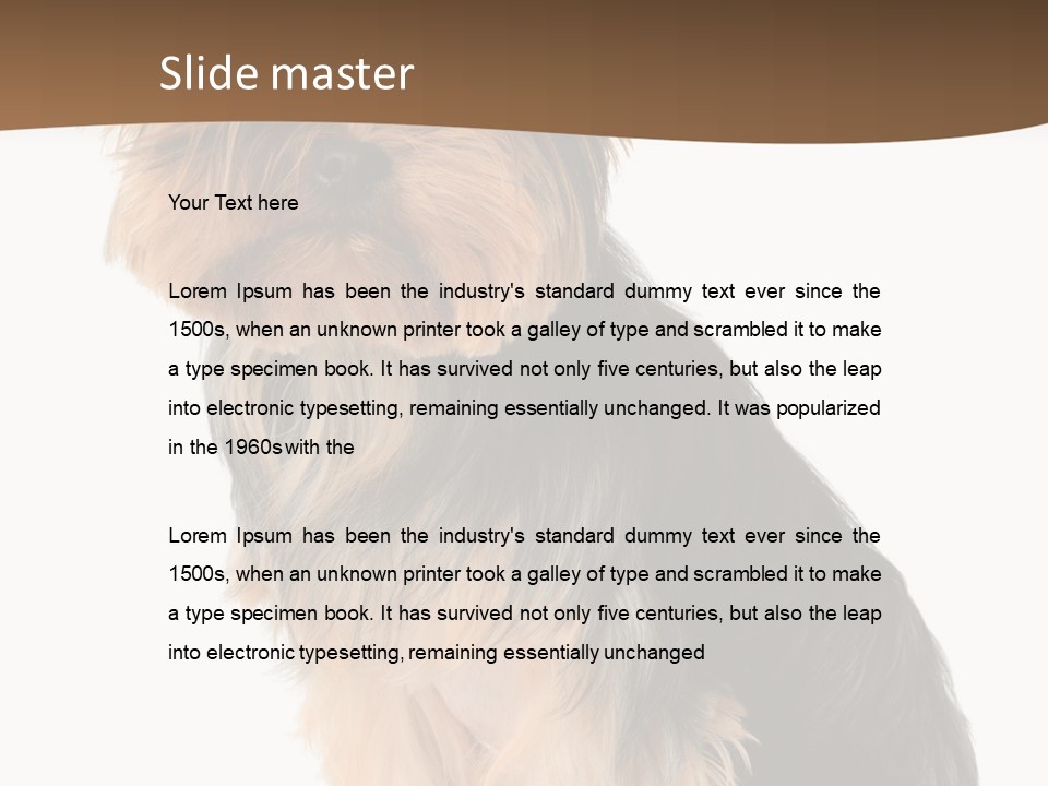 Brown Looking Dog PowerPoint Template