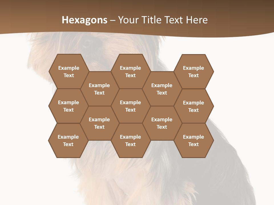 Brown Looking Dog PowerPoint Template