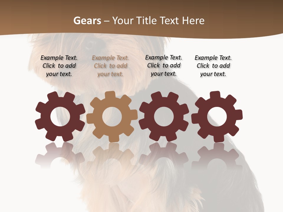 Brown Looking Dog PowerPoint Template