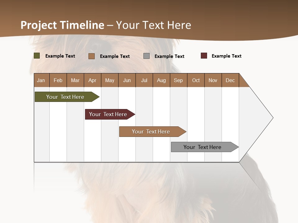 Brown Looking Dog PowerPoint Template