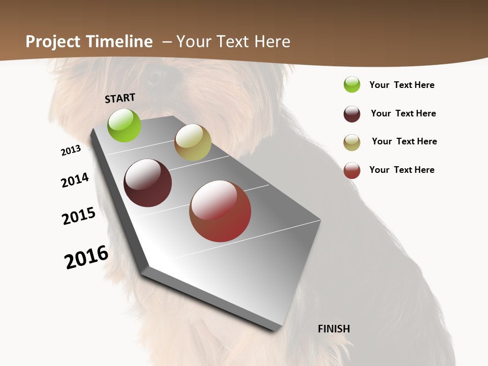 Brown Looking Dog PowerPoint Template