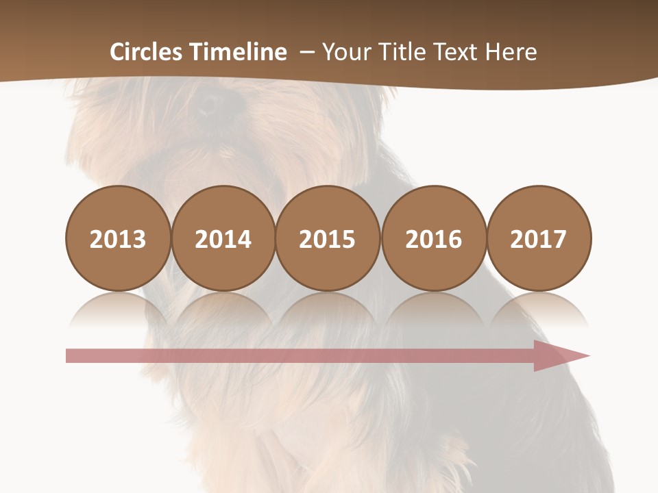 Brown Looking Dog PowerPoint Template