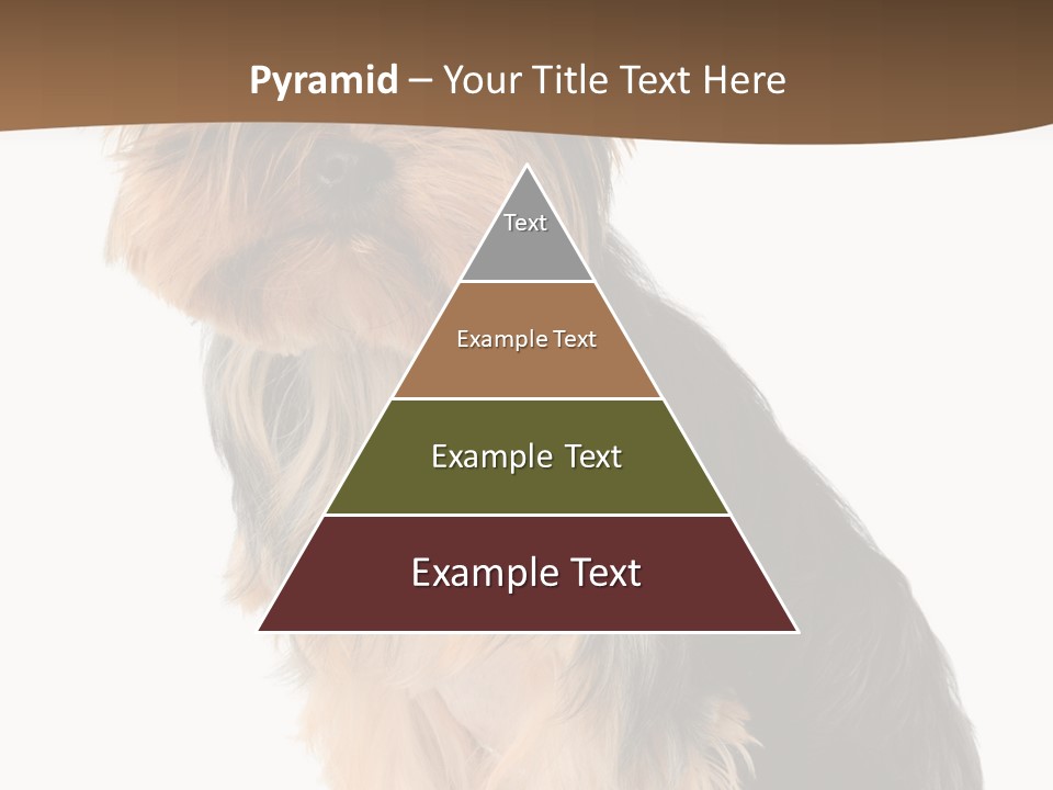 Brown Looking Dog PowerPoint Template