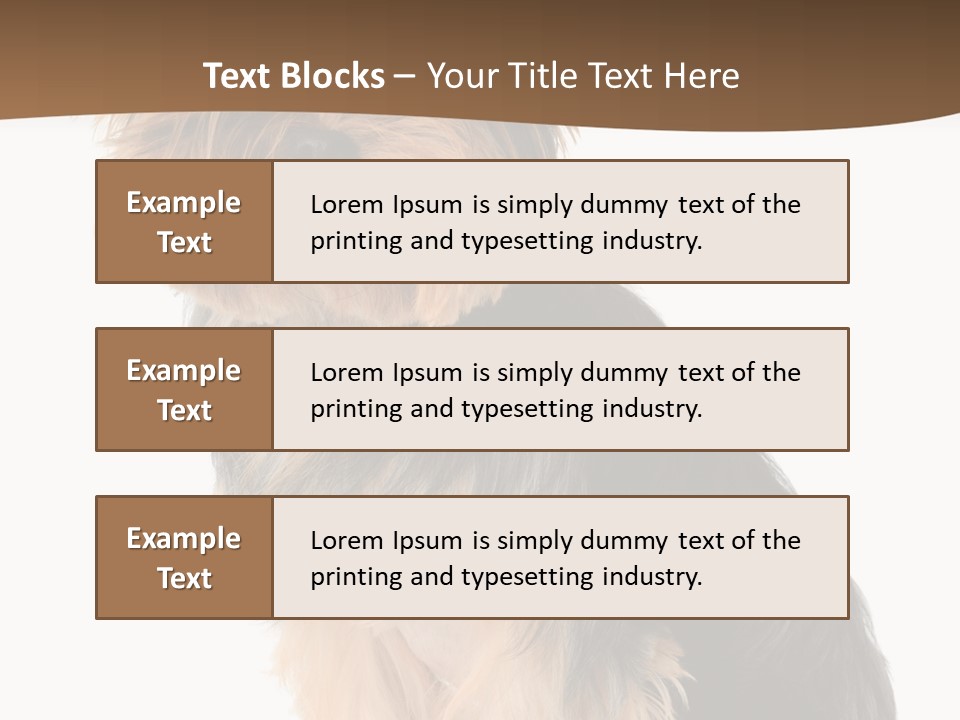 Brown Looking Dog PowerPoint Template