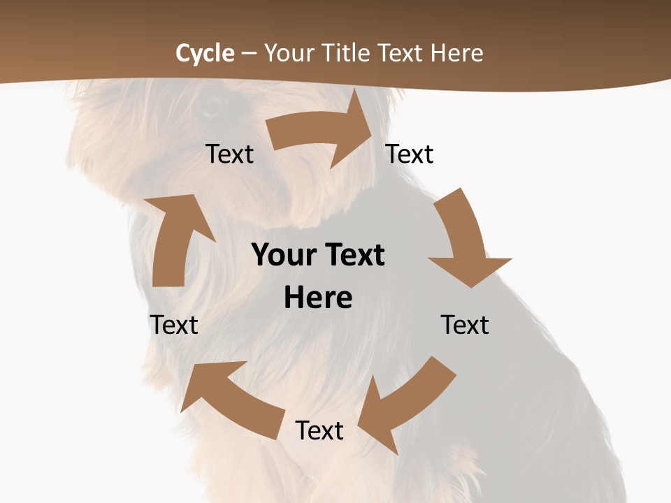 Brown Looking Dog PowerPoint Template