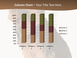 Brown Looking Dog PowerPoint Template