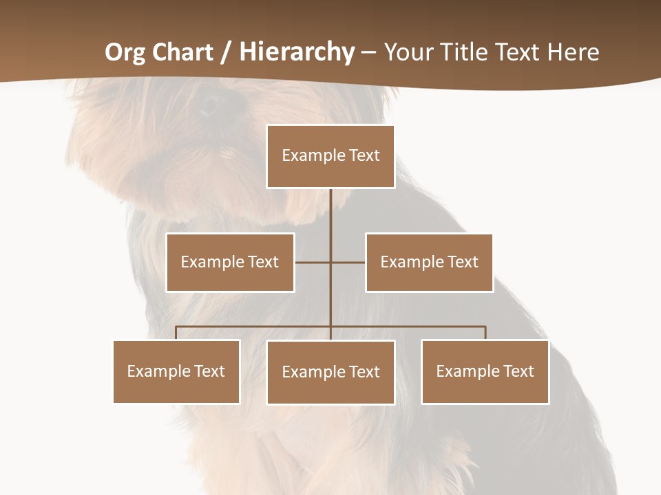 Brown Looking Dog PowerPoint Template