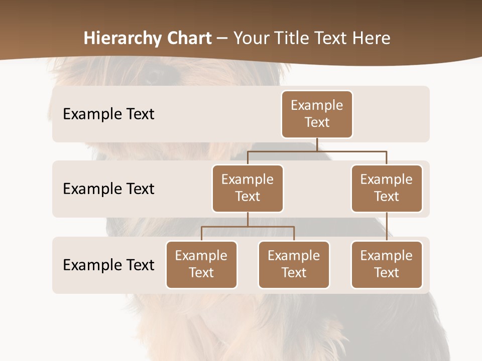 Brown Looking Dog PowerPoint Template